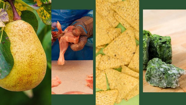 Von den Agrar-Initiativen besonders betroffen wären laut dem St. Galler Bauernverband Spezial- sowie gewisse Ackerkulturen und die Geflügel- und Schweinebetriebe – damit auch die nachgelagerten Betriebe. (Bilder Pixabay NickyPe, viarami, No-longer-here / St. Galler Bauernverband) 