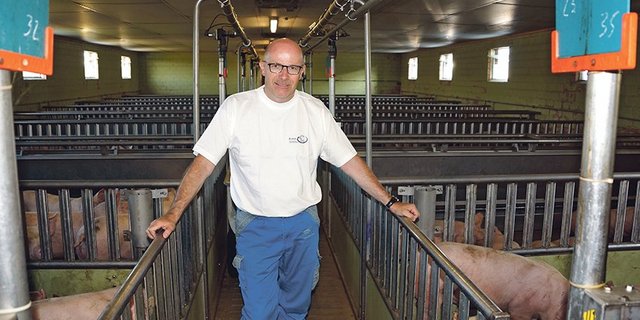 Vorbildlicher QM-Betrieb: Werner Humbel im Maststall. (Bild rae)