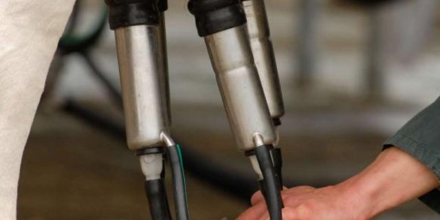 Der europäische Milchmarkt wurde in den letzten Jahren liberalisiert. Die Folge davon sind zunehmende zyklische Schwankungen von Milchpreis und -Menge. (Bild Fotolia)