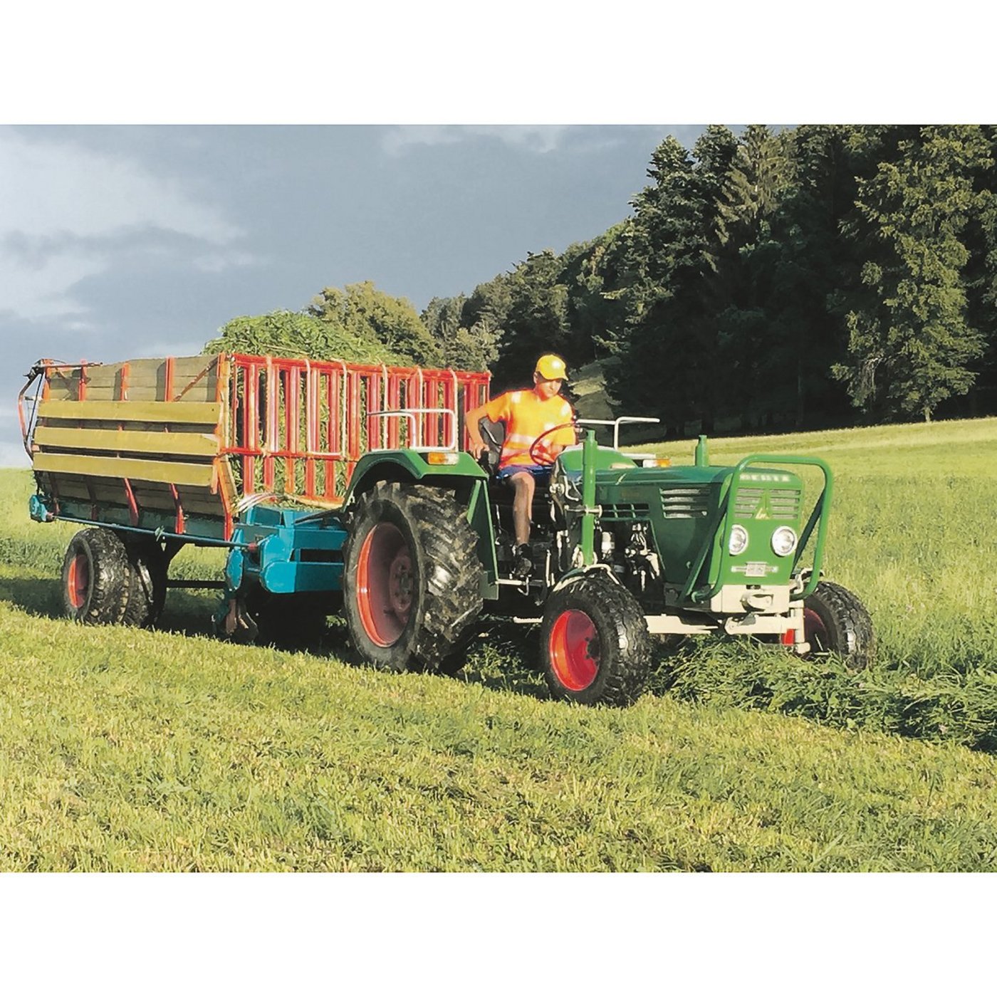 Der Deutz D5506 im Einsatz mit dem ebenso alten Ladewagen Steyr Hamster Plus 20 S. (Bild Bruno Berger)