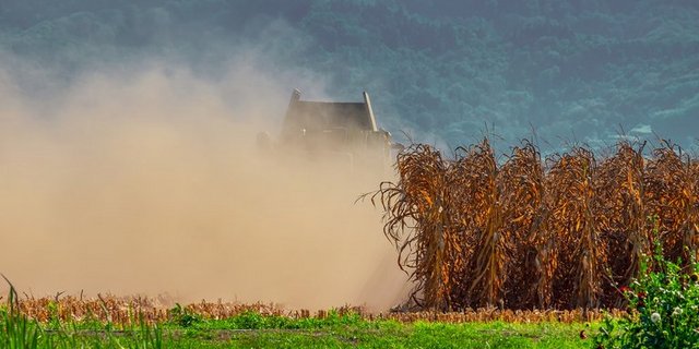 Staub kann als Gesundheits-Gefahr einfach unterschätzt werden. (Bild BUL)