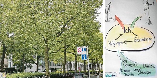 Li: Wir werden vielfältig geprägt. Ob uns das stark oder schwach macht, können wir selber entscheiden. (Zeichnung Stefan Moser) Re: Mitten in der Stadt Bern wachsen Bäume. Ihr Lebensraum liegt unter Teer. Die Stadt hat sie geprägt und sie haben gelernt, damit zu leben und zu wachsen. (Bild sb)