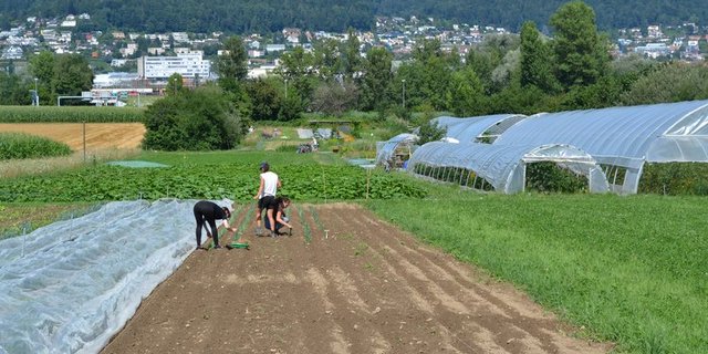 Kleinbauern und Familienbetriebe agierten als Hüter der Agrobiodiversität. (Symbolbild jsc)