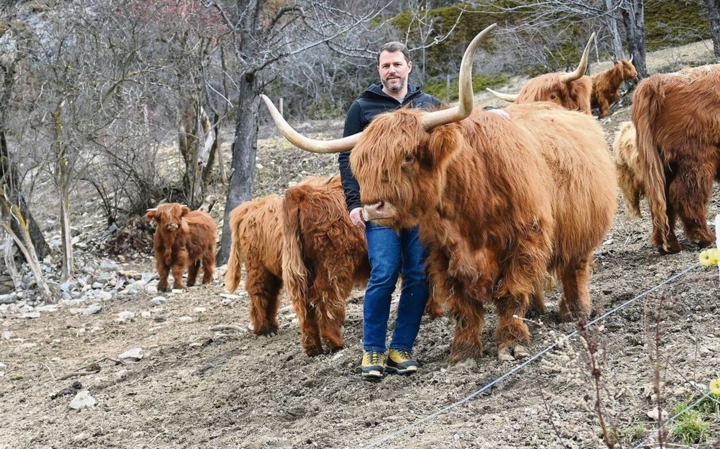 Dass die Tiere zu ihrem Züchter so zutraulich sind, ist eher ungewöhnlich, von Martin Inderkummen aber so gewollt.
