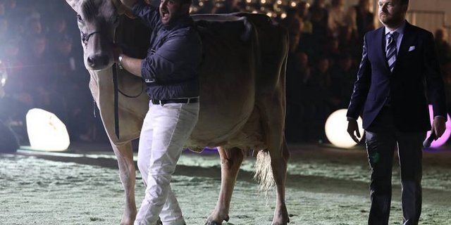 Nicht nur das Licht ist an der Swiss Expo speziell, auch das Ambiente und die grossartige Stimmung. (Bild Swissexpo)