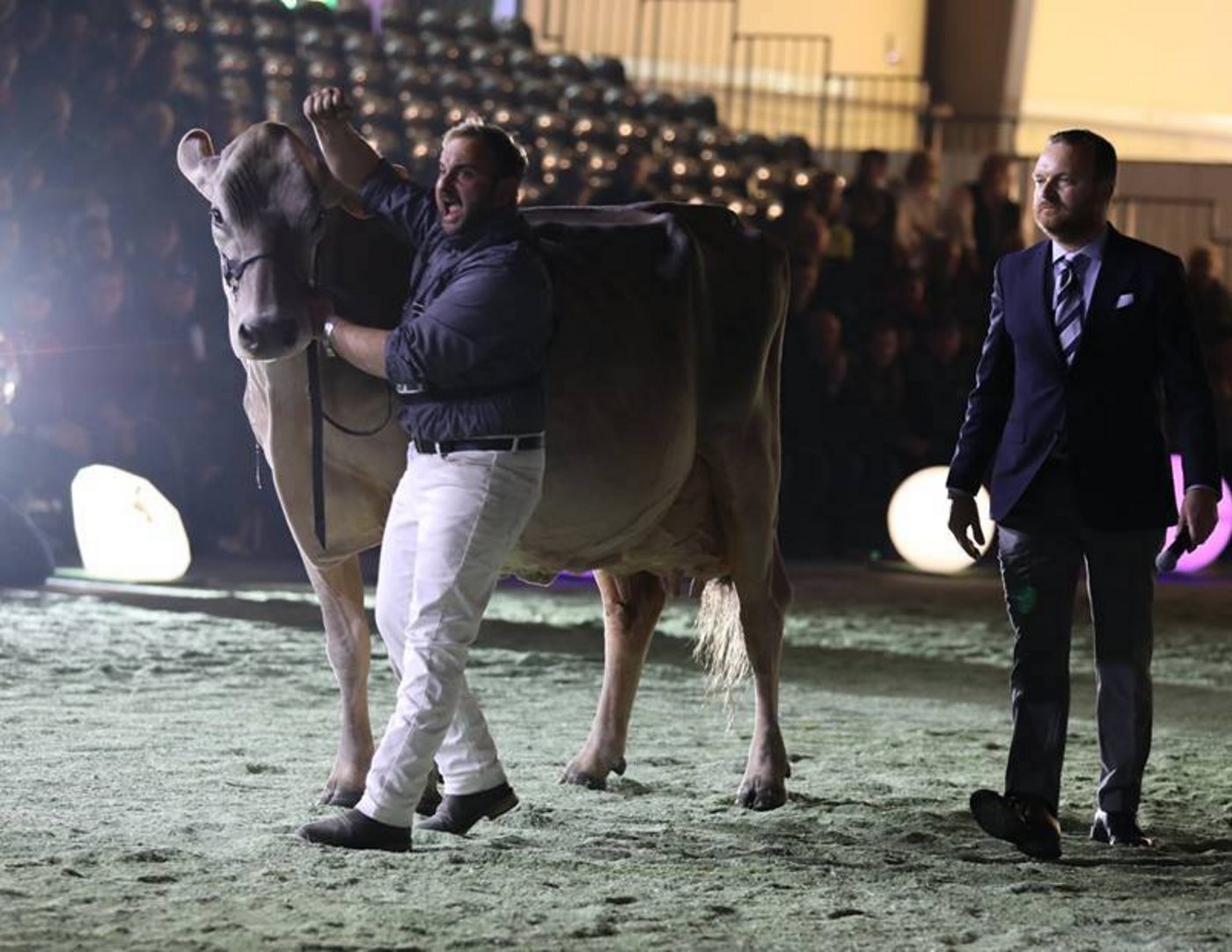 Nicht nur das Licht ist an der Swiss Expo speziell, auch das Ambiente und die grossartige Stimmung. (Bild Swissexpo)