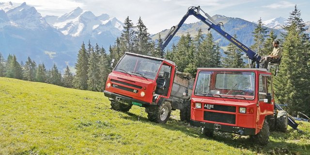 Die beiden Transporter in vollem Einsatz. Beides sind gute und zuverlässige Maschinen, die man aber manchmal auch warten muss. (Bild Toni Bergmann)
