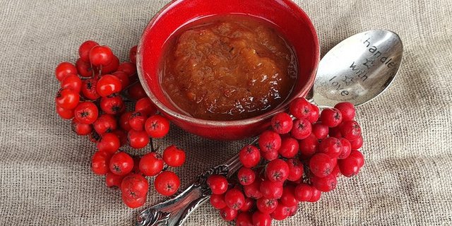 Gekocht sind Vogelbeeren problemlos essbar, z. B. als Mus. (Bild Marie-Isabelle Bill).