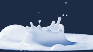 Was den Milchpreis a Was den Milchpreis angeht, sehen die Schweizer Milchproduzenten noch Luft nach oben. Zuerst müsse aber der 1. Juli ins Land ziehen.