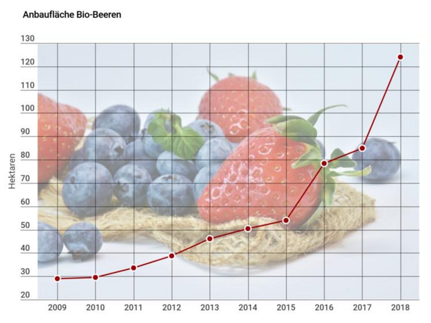 Der Anbau von Bio-Beeren hat in den letzten Jahren stark zugenommen.  (Grafik lid)