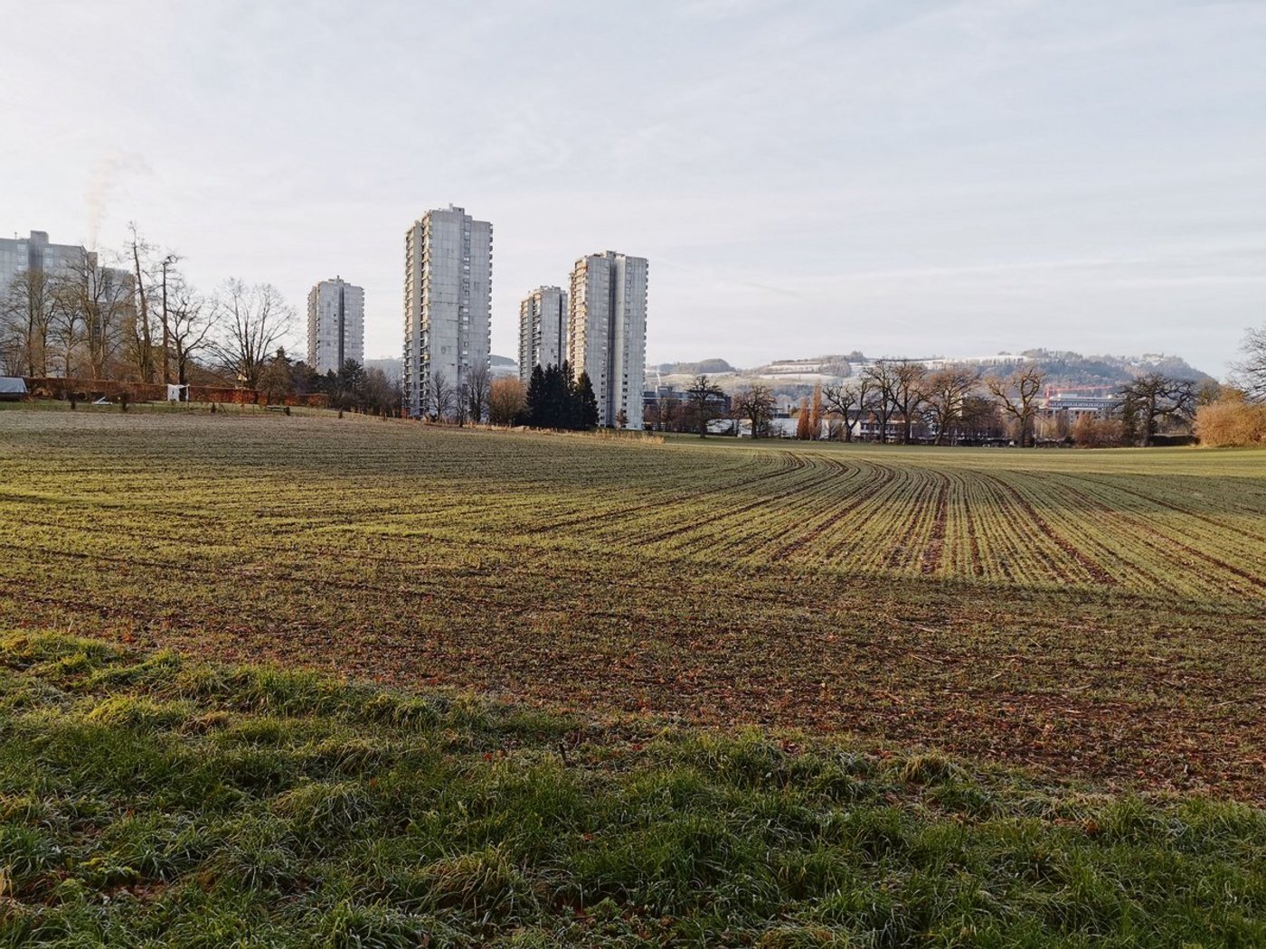 Die landwirtschaftlichen Böden gelangen in den Fokus verschiedener Unternehmen. Sie bieten grosses Potenzial, wenn es um Klimakompensation geht. Verschiedene Ressourcenprojekte sind angelaufen. An finanziellen Mitteln dürfte es nicht fehlen. (Bild Simone Barth)