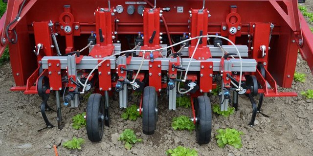 Jät- und Spritzroboter Steketee von Agroscope ist eine Möglichkeit, wie in Zukunft Pflanzenschutzmittel eingespart werden könnten. (Bild jsc)