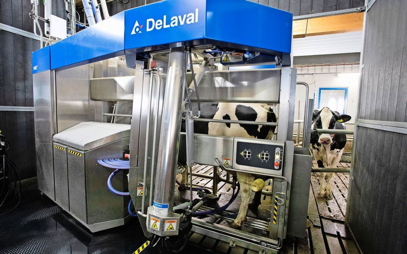 Das «Flaggschiff» von DeLaval, ein VMS 310. Vier Stück stehen im neu erbauten Stall der Hamra Farm. 