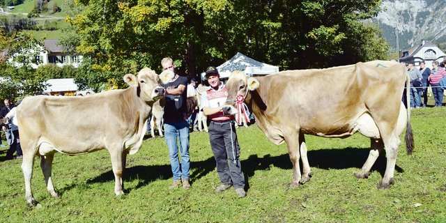 Siegertiere im Mutter-Tochter-Wettbewerb von Josef Infanger.(Bild pk)