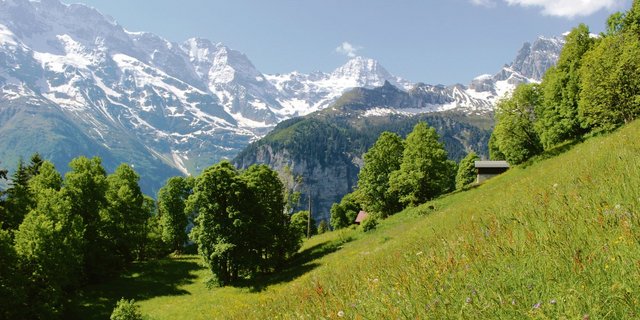 Das Gebiet Schwendi ob Lauterbrunnen wurde gestern für seine ökologischen und ästhetischen Werte mit dem Kulturlandschaftspreis ausgezeichnet. (Bilder zVg)