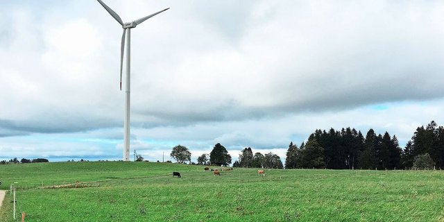 Rund um das Windrad im Kanton Jura weiden Kühe. Das soll auch im Kanton Zürich realisiert werden. Der Regierungsrat legte den Richtplan mit 20 Standorten vor, wo Windparks entstehen könnten.  