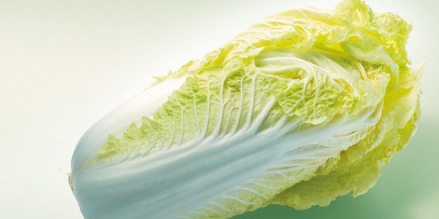 Gesundes Gemüse aus Asien: Chinakohl. (Bild VSGP)