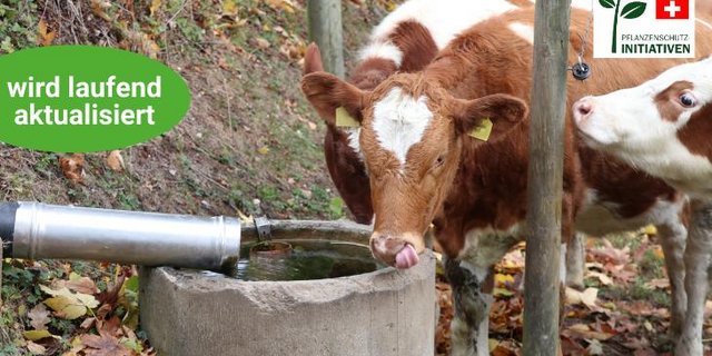 Die BauernZeitung informiert über die Trinkwasser-Initiative (Bild: BauernZeitung/Ruth Aerni)