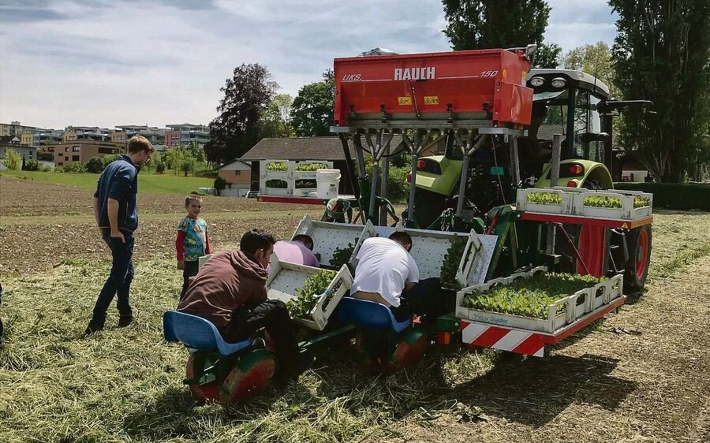 Viele Betriebe, etwa im Gemüsebau, sind auf Angestellte ange-wiesen. Diese erwarten zeitgemässe Arbeitsbedingungen. 