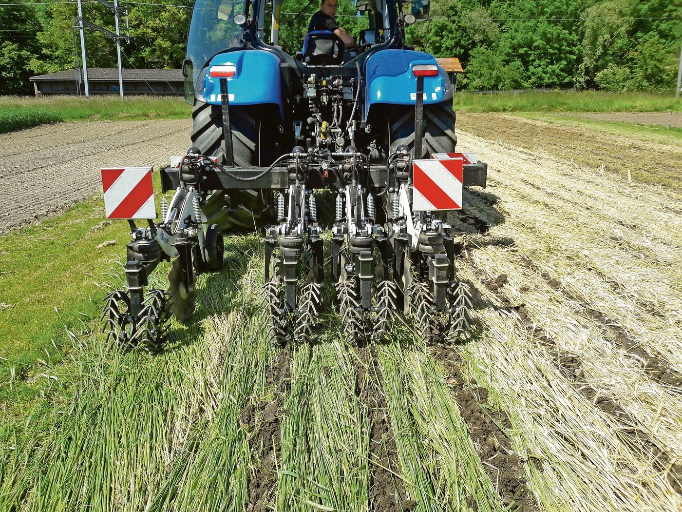 Strip-Till-Bearbeitung in den geknickten Grünschnittroggen. Die Strip-Till-Saat ist eine Streifensaat für Reihenkulturen. (Bild BFH-HAFL)