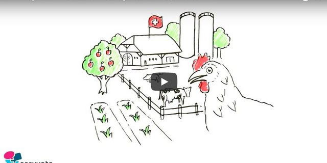 Die Easyvote-Videos erklären, was die Initiativen erreichen wollen. (Bild easyvote.ch)