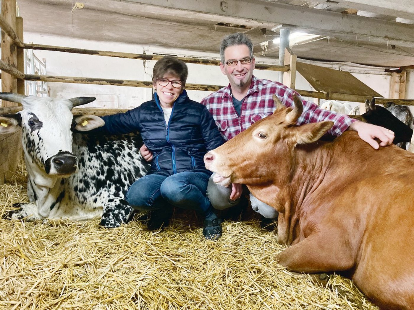 Das Ehepaar Gmür hatte nach einer kleinen, ruhigen und genügsamen Rinderrasse gesucht. Mit den Original Zwergzebus wurden sie vor acht Jahren fündig.(Bilder Alexandra Stückelberger)