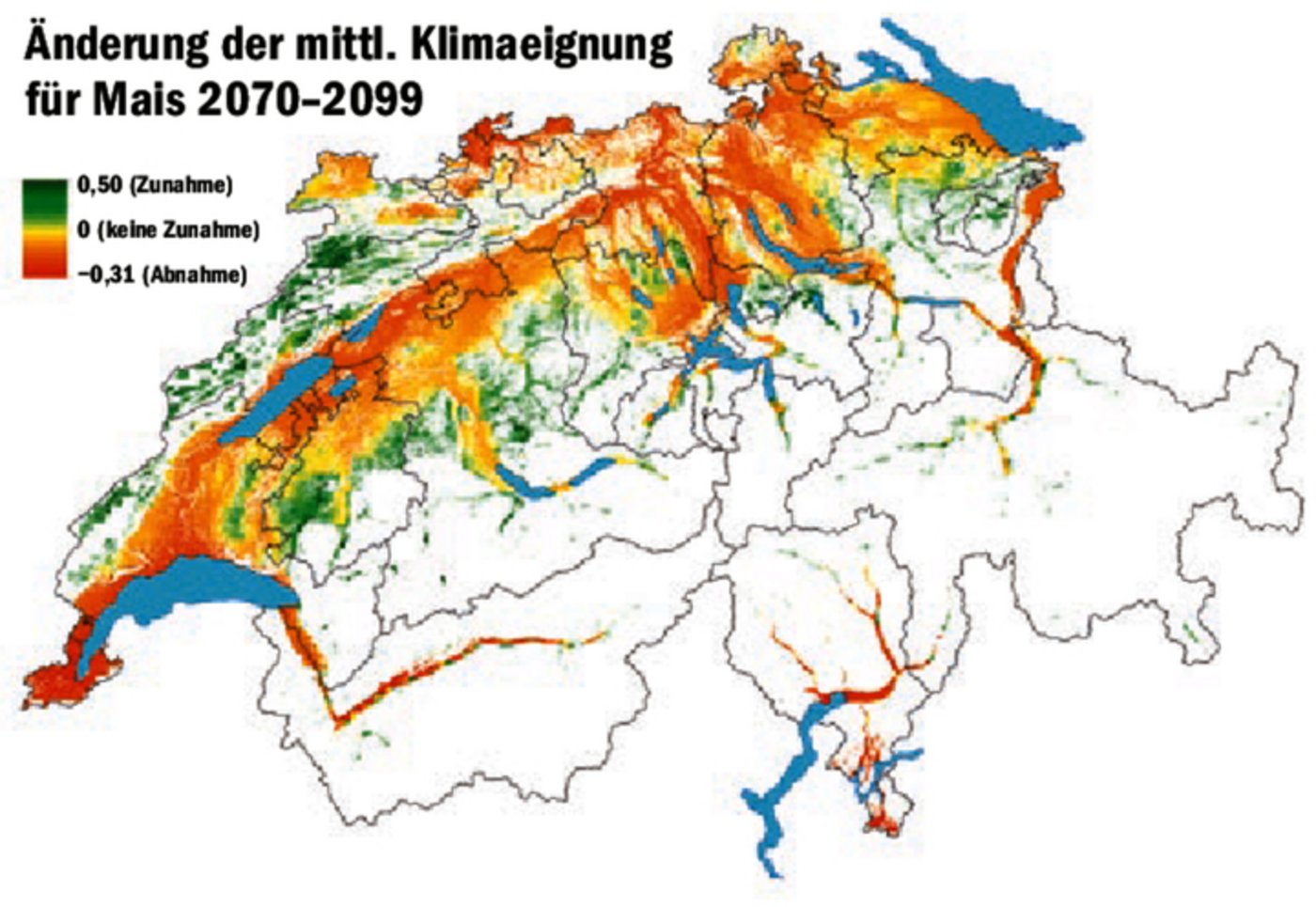 Bei zu starkem Hitzestress kann es wegen beschleunigter Entwicklung zu Ertragsminderungen kommen.  
