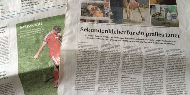 Die "Sonntagszeitung" thematisiert heute die Praktiken gewisser Spitzenzücher an der EM in Colmar. 
