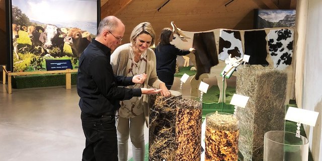 Die neue Ausstellung in Spreitenbach spricht alle Sinne an. (Bild zVg)