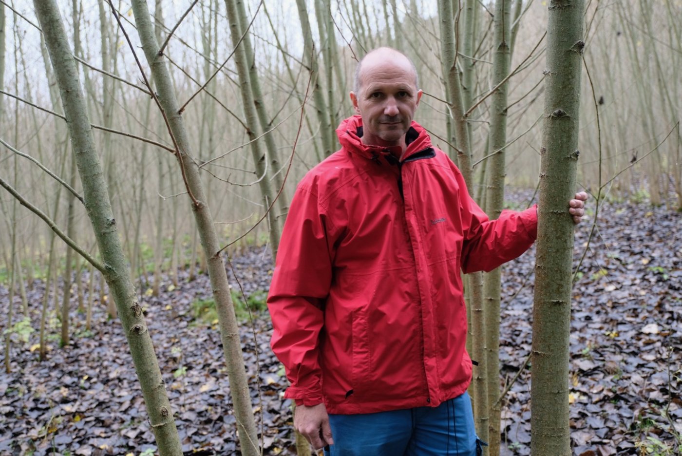 Klaus Erhart kämpft für den Erhalt von 20'000 Bäumen. Weil er nicht wusste, dass das Setzen meldepflichtig war, muss er sie womöglich bis im Juni 2020 roden lassen. (Bild Horst Einöder / Kronen Zeitung)