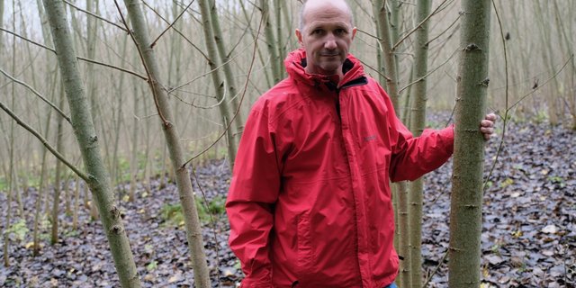 Klaus Erhart kämpft für den Erhalt von 20'000 Bäumen. Weil er nicht wusste, dass das Setzen meldepflichtig war, muss er sie womöglich bis im Juni 2020 roden lassen. (Bild Horst Einöder / Kronen Zeitung)