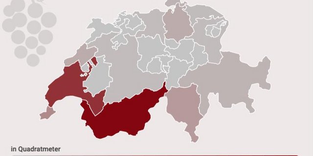 Die Kantone Wallis und Waadt bilden die führende Weinregion der Schweiz. (Infografik lid)