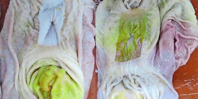 Bei strukturarmer Fütterung bekommen die Schweine Magenprobleme (rechts) im Vergleich zum gesunden Magen (links).