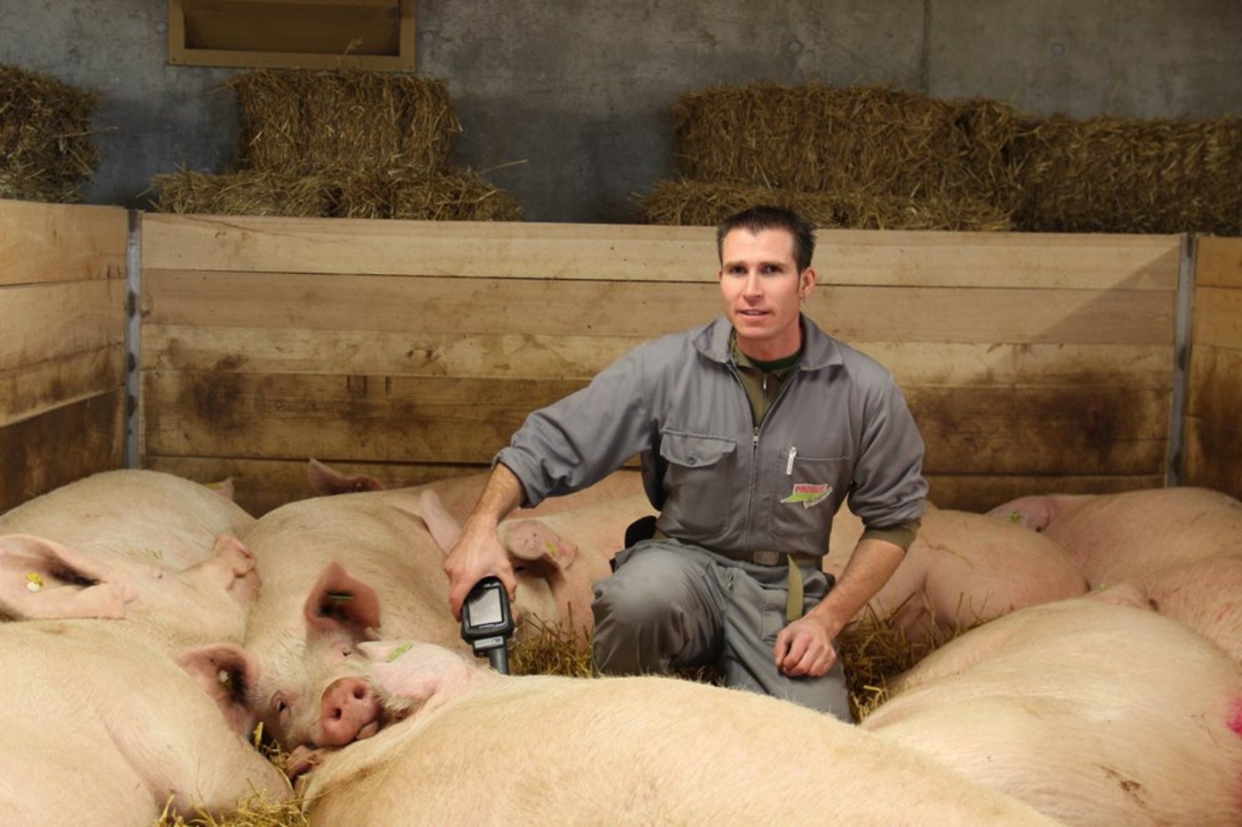 Peter Anderhub trägt bei seinen Stalldurchgängen jeweils einen Handterminal auf sich. Der Tierhalter kann so die Futtermenge individuell vor Ort korrigieren und weitere Daten abrufen. (Bilder mf)