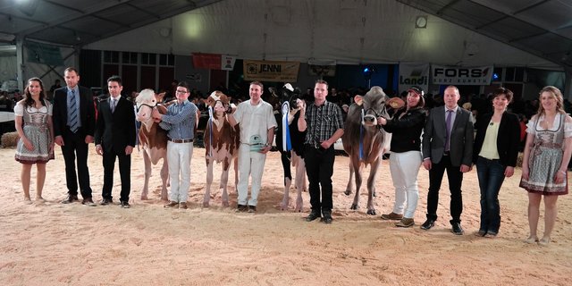 Manuel Bieri mit SF Sofia, Bernhard Salzmann mit RH Queeny, André Rüttimann mit Hol Pepita, Franziska Duss mit BS Espania (v. l. n. r.).  (Bilder jko)