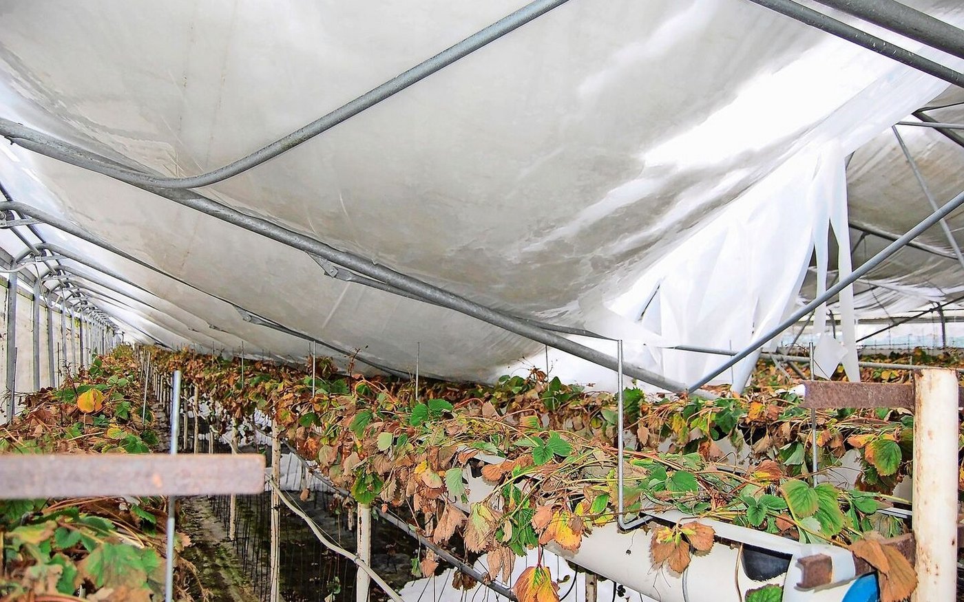 Bei einer zu tiefen Summe kann die Entschädigung gekürzt werden. Darum: Versicherungssumme überprüfen und bei Neuanschaffungen anpassen.