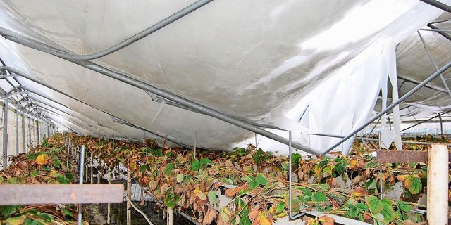 Bei einer zu tiefen Summe kann die Entschädigung gekürzt werden. Darum: Versicherungssumme überprüfen und bei Neuanschaffungen anpassen.