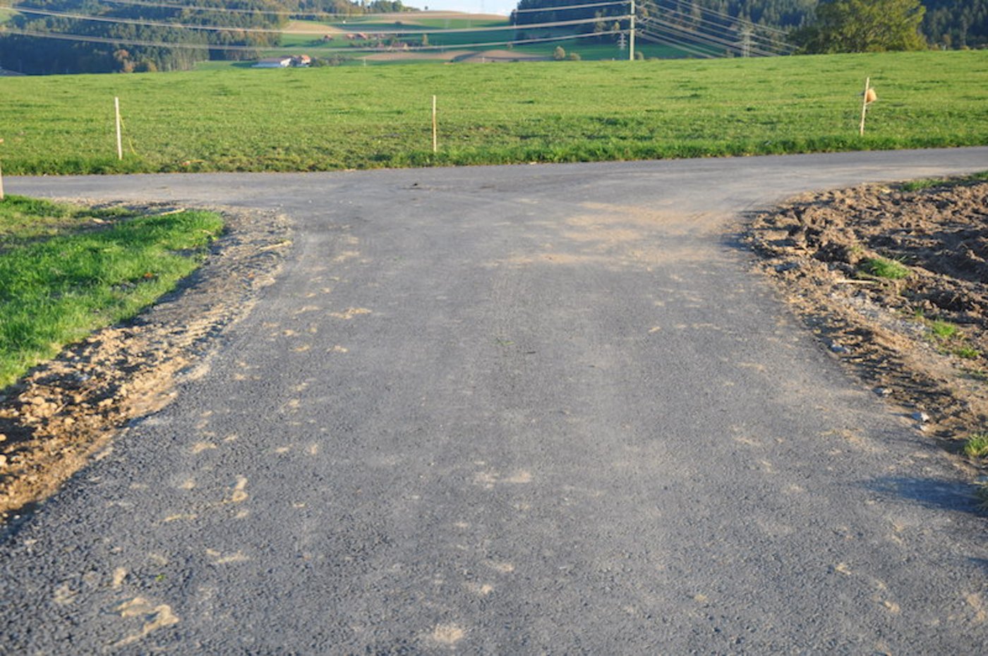 Scheidungen in der Landwirtschaft sind oft nicht leicht. (Symbolbild HAFL)