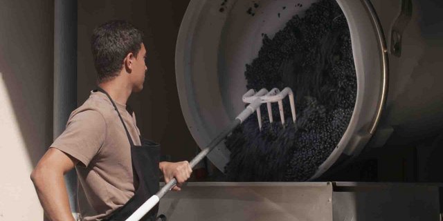 An den zweiten nationalen SwissSkills sind diesmal auch die Lernende aus den beiden Weinberufen am Wettbewerb dabei. (Bild zVg)