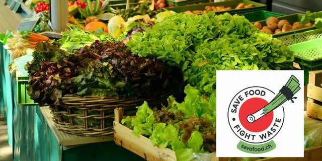 Die Kampagnen-Kleber machen darauf aufmerksam, dass man mit dem Kauf nicht-normgemässer Ware einen Beitrag zur Vermeidung von Lebensmittelverlusten (Food Waste) leisten kann. (Bild congerdesign / Pixabay / SBV)