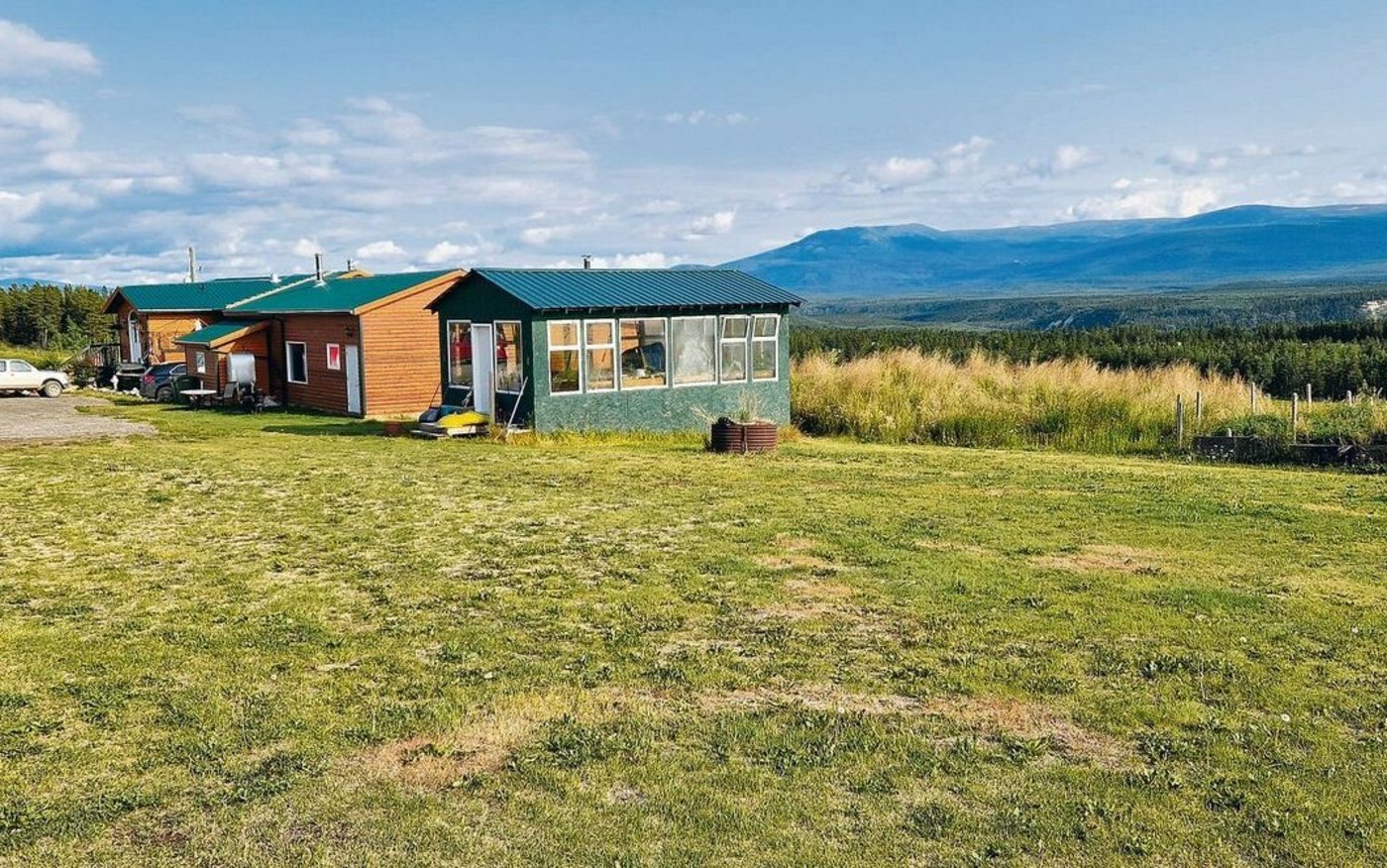 Das Haus und Treibhaus der Takhini River Ranch von Westen her gesehen. 2006 kauften Jackie Dickson und ihr Mann Scott die Ranch – die Weiden mussten mühsam gerodet werden.