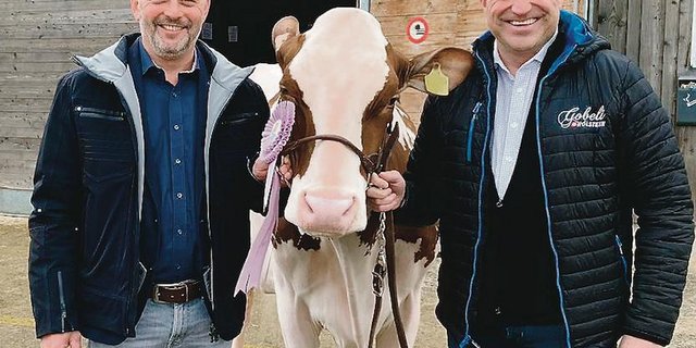 Hansjörg Räz (links) und Ruedi Gasser mit ihrer roten Schaukuh All-Star Agent Elegance,  welche schon einige Titel einheimsen konnte. (Bilder zVg)