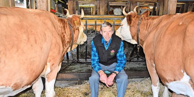 Konrad Klötzli aus Achseten BE schwärmt von der Simmentalerrasse. In seinem Stall hat er mehr als eine Schönheit hervorgebracht. 