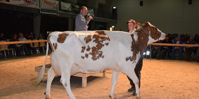 Wihof Selayo Uljana wurde von Fritz Widmer, Heimiswil BE angeboten. Sie galt 3300 Franken.