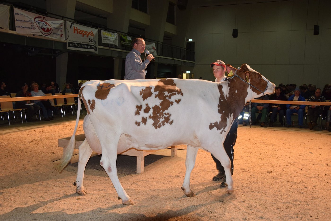 Wihof Selayo Uljana wurde von Fritz Widmer, Heimiswil BE angeboten. Sie galt 3300 Franken.