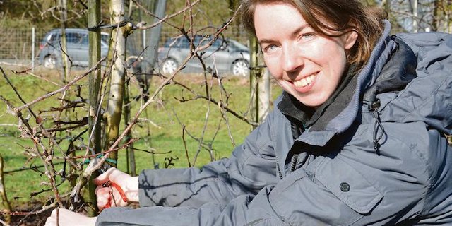 Ronja Ottink war in den Niederlanden als Gemüsegärtnerin tätig, bis sie ihre Leidenschaft für den Obstbau entdeckte. Für die Lehre zur Obstbaufachfrau ist sie in die Schweiz gezogen. (Bild Marianne Stamm)