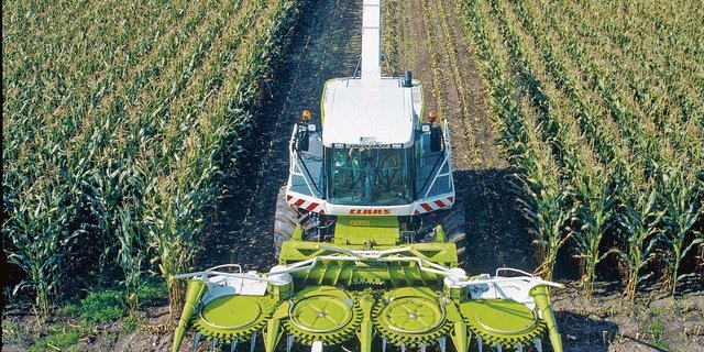 Wie sehen der Nährwert, die Konservierungsqualität, der Zustand der Körner und die Schnittlänge der Silage aus?