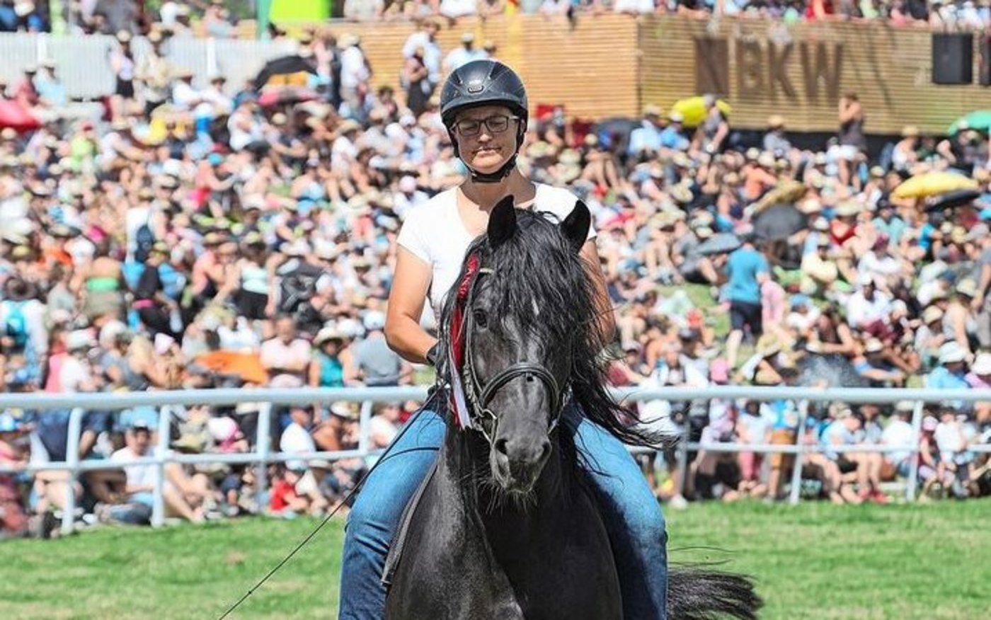 Am Marché Concours in Saignelégier: Für Brigitte Favre ist der Freibergerhengst Hayden (Houston/Eiger) ein ganz spezielles Pferd. 