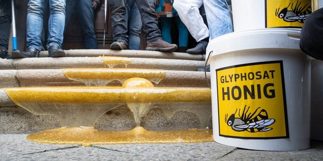 Das betroffene Imkerpaar Seusing muss 4 Tonnen Honig entsorgen, weil er zu viel Glyphosat enthält. (Bild zVg)