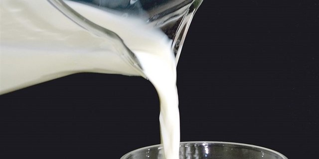 Laut der SMP ist eine Erhöhung der Milchpreise möglich. (Bild BauZ)